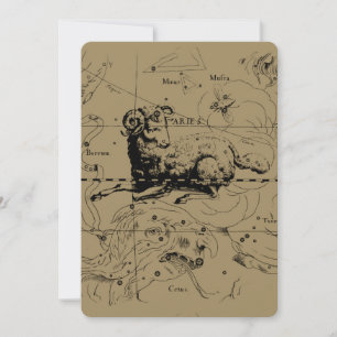 Aries Constellation Map Engraving by Hevelius