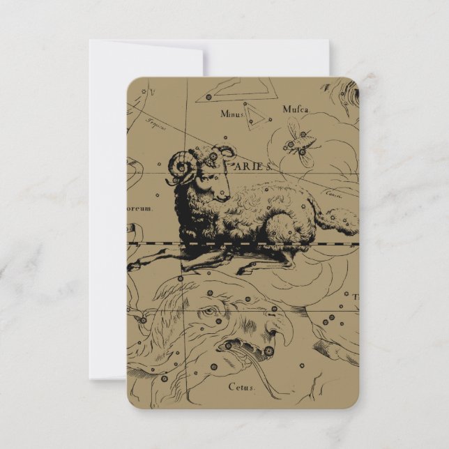 Aries Constellation Map Hevelius circa 1690 (Front)