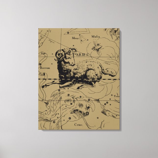 Aries Constellation Map Hevelius circa 1690 Canvas Print (Front)