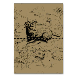 Aries Constellation Map Hevelius circa 1690 Table Number