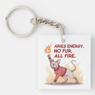 Aries Energy Sphynx Cat No Fur All Fire Art Key Ring