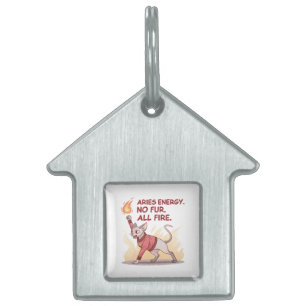 Aries Energy Sphynx Cat No Fur All Fire Art Pet ID Tag