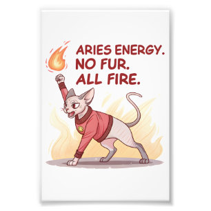 Aries Energy Sphynx Cat No Fur All Fire Art Photo Print