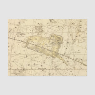 Aries, Musca Borealis Tissue Paper