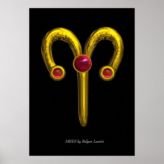 ARIES POSTER (Front)