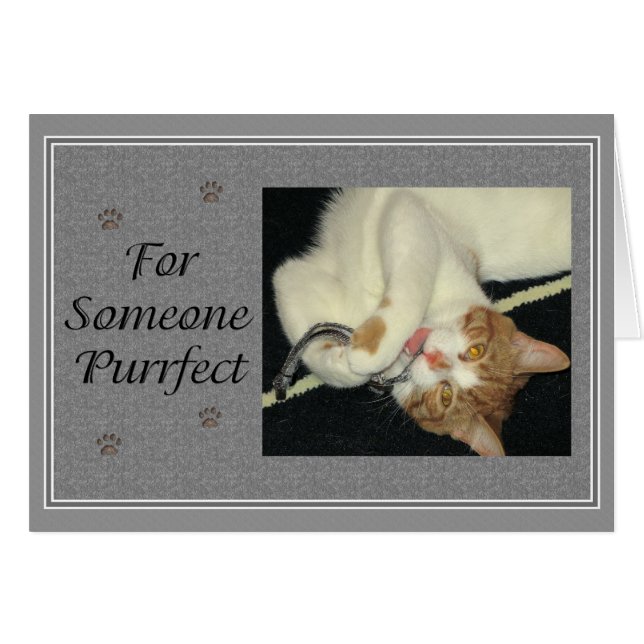 Aries Purrfect (Front Horizontal)