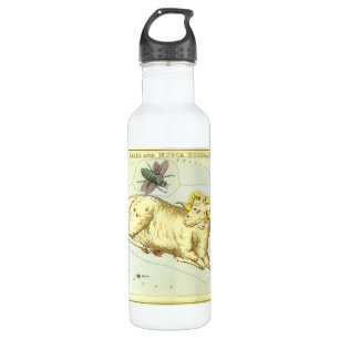 Aries Ram, Vintage Constellation, Urania's Mirror 710 Ml Water Bottle