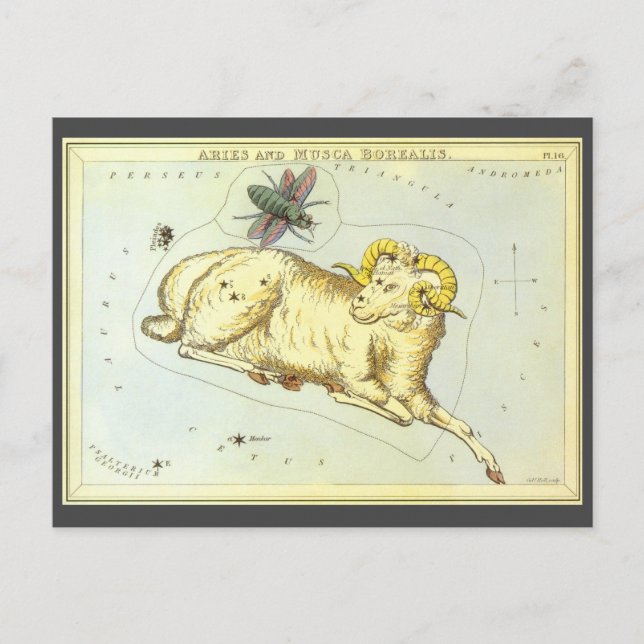 Aries Ram, Vintage Constellation, Urania's Mirror Postcard (Front)