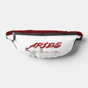 Aries Reflection Bum Bags