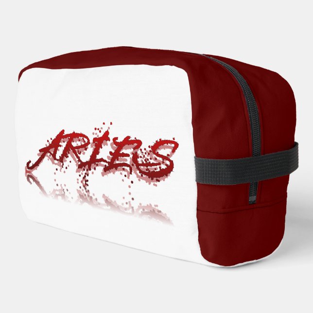 Aries Reflection Dopp Kit (Left Corner)