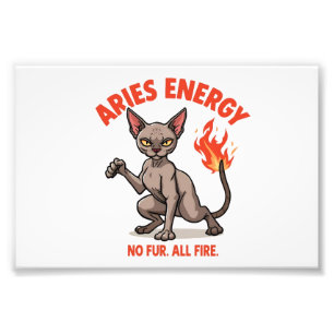 Aries Sphynx Cat Fire Energy Zodiac Art Photo Print
