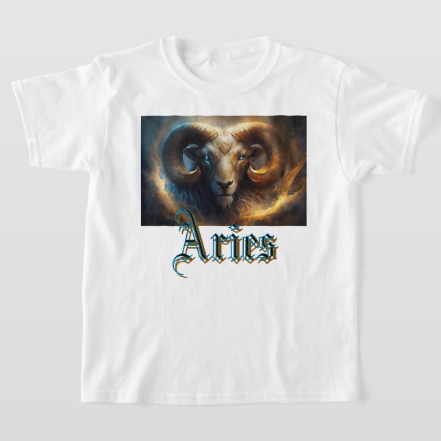 Aries T-Shirt (Laydown)