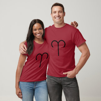 Aries T-Shirt
