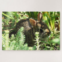 Arisdale Arts: Young Rabbit in grass 