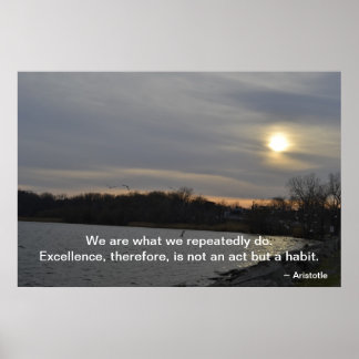 Aristotle - Excellence Poster