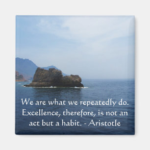 Aristotle Excellence Quotation Magnet