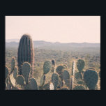 Arizona Cacti | Poster<br><div class="desc">An original photograph of a young saguaro cacti peeking over a prickly pear cactus, taken in the Arizona desert. If you change the size of the poster, make sure you click "Customise it!" to change the size of the image, if needed, to ensure the photo covers the entire poster, unless...</div>