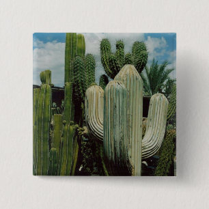 Arizona Cactus 15 Cm Square Badge