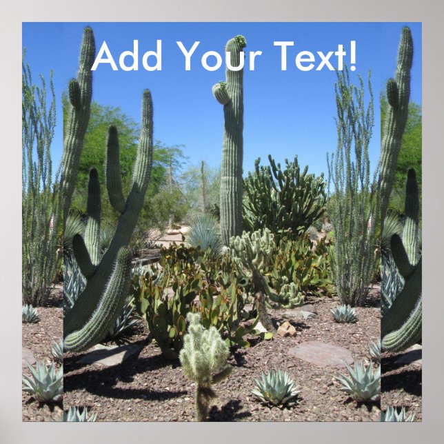 Arizona Cactus Garden Poster (Front)