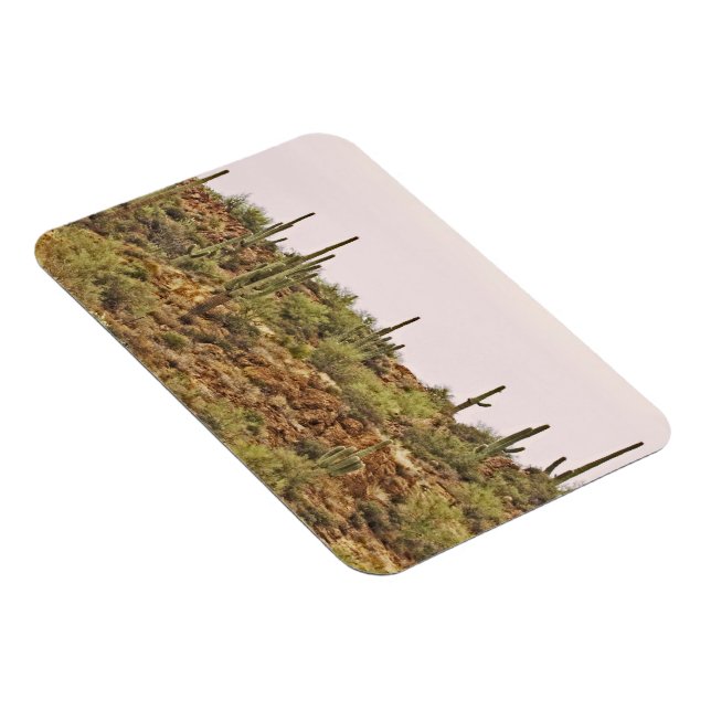 Arizona Cactus landscape Magnet (Right Side)