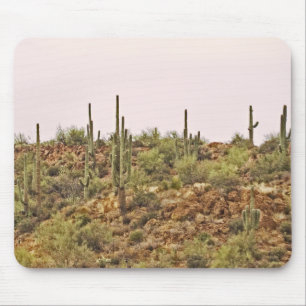 Arizona cactus landscape mouse pad