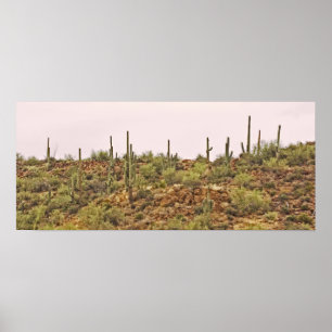 Arizona cactus landscape poster