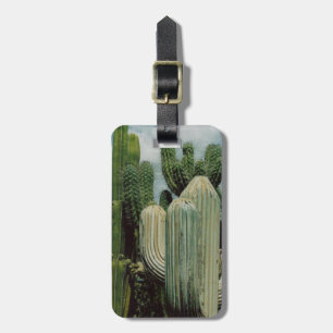 Arizona Cactus Luggage Tag