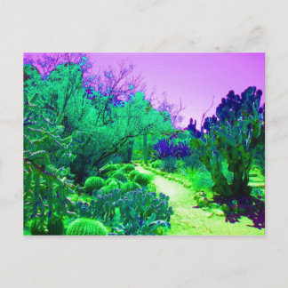 Arizona Cactus Path Postcard