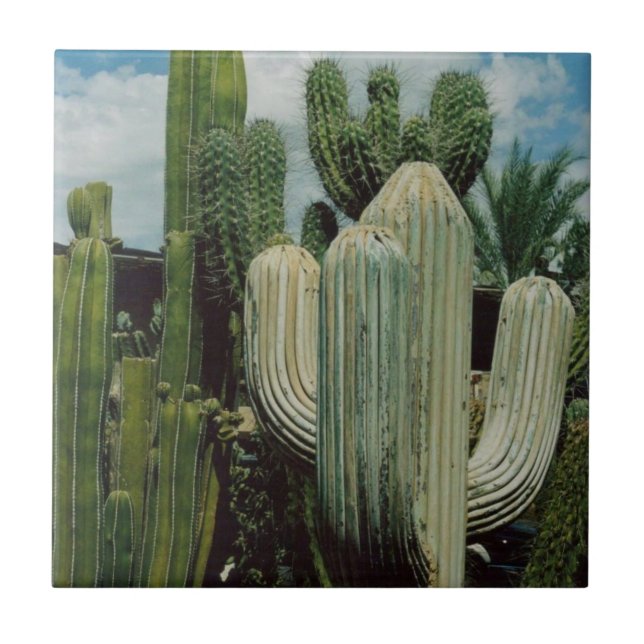 Arizona Cactus Tile (Front)