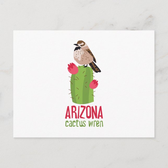 Arizona Cactus Wren Postcard (Front)
