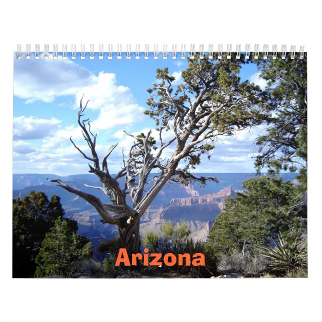 Arizona Calendar (Cover)
