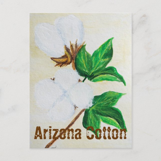 Arizona Cotton Facts Postcard (Front)