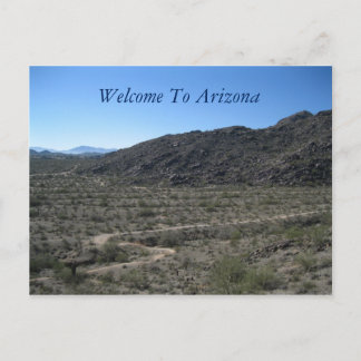 Arizona Desert Beauty Postcard
