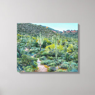 Arizona Desert Hiking Saguaro Cactus Forest 20x16 Canvas Print