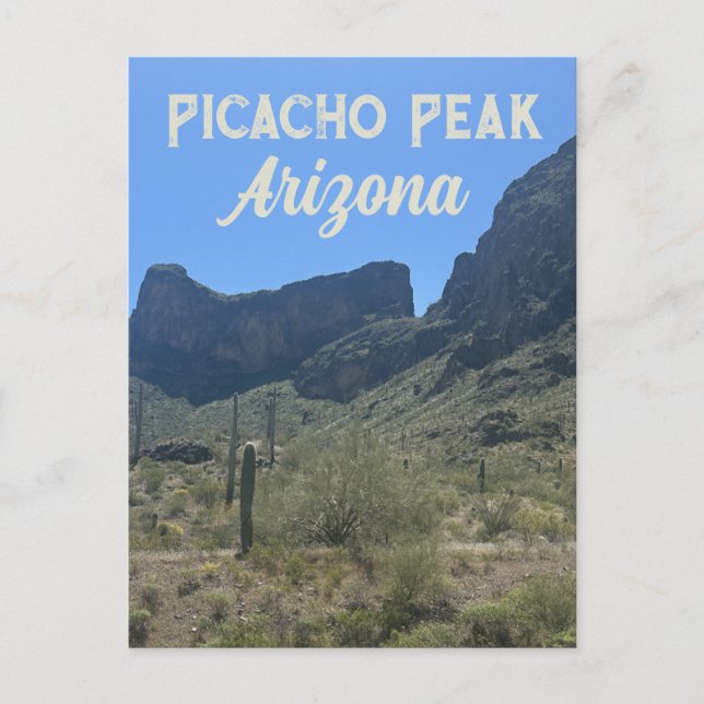 Arizona Desert Landscape Saguaro Cactus Nature Postcard (Front)