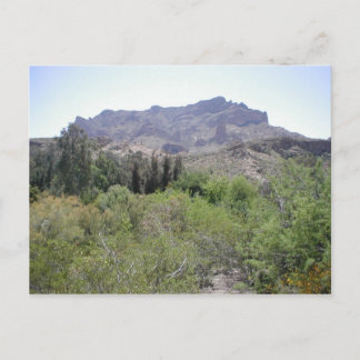 Arizona Desert Postcard