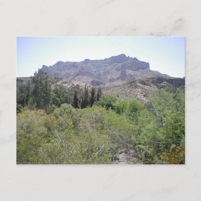 Arizona Desert Postcard (Front)