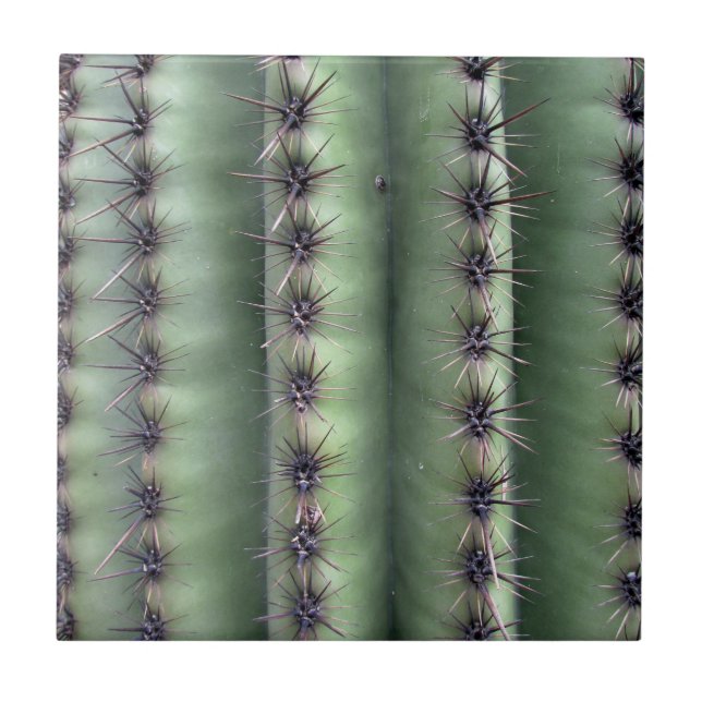 Arizona Desert Saguaro Cactus Green Tile (Front)