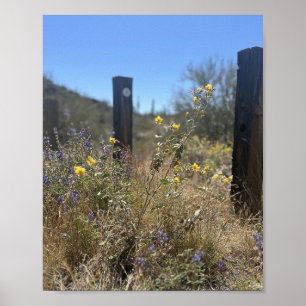 Arizona Desert Yellow Purple Flowers Hidden Beauty Poster