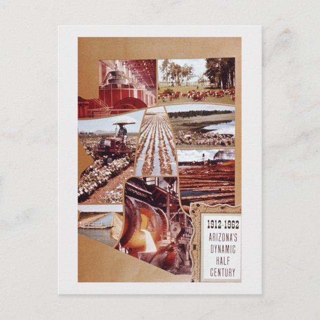 Arizona Mid-Century Agriculture Desert Landscape Holiday Postcard (Front)