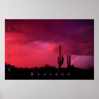 Arizona Monsoon