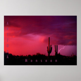 Arizona Monsoon Poster
