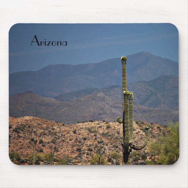 Arizona Mousepad (Front)