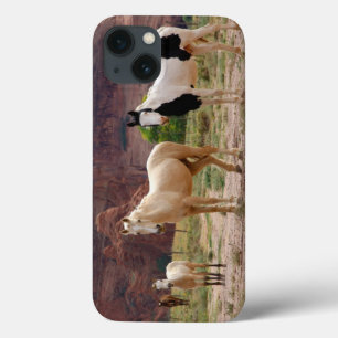 Arizona, Navajo Indian Reservation, Chinle, iPhone 13 Case