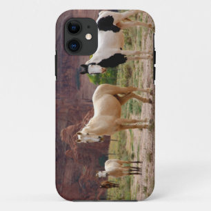 Arizona, Navajo Indian Reservation, Chinle, Case-Mate iPhone Case