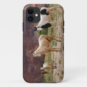 Arizona, Navajo Indian Reservation, Chinle, Case-Mate iPhone Case