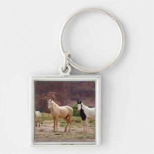 Arizona, Navajo Indian Reservation, Chinle, Key Ring