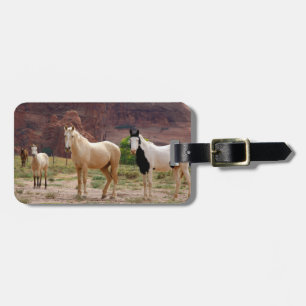 Arizona, Navajo Indian Reservation, Chinle, Luggage Tag