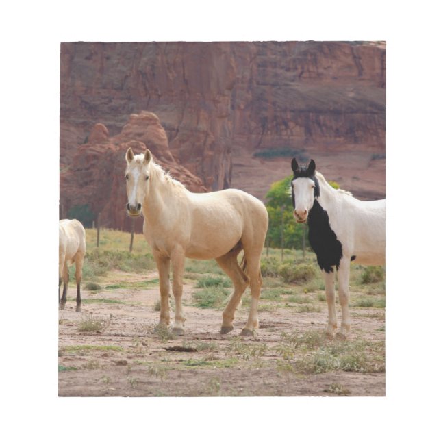 Arizona, Navajo Indian Reservation, Chinle, Notepad (Front)