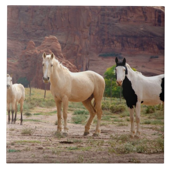 Arizona, Navajo Indian Reservation, Chinle, Tile (Front)